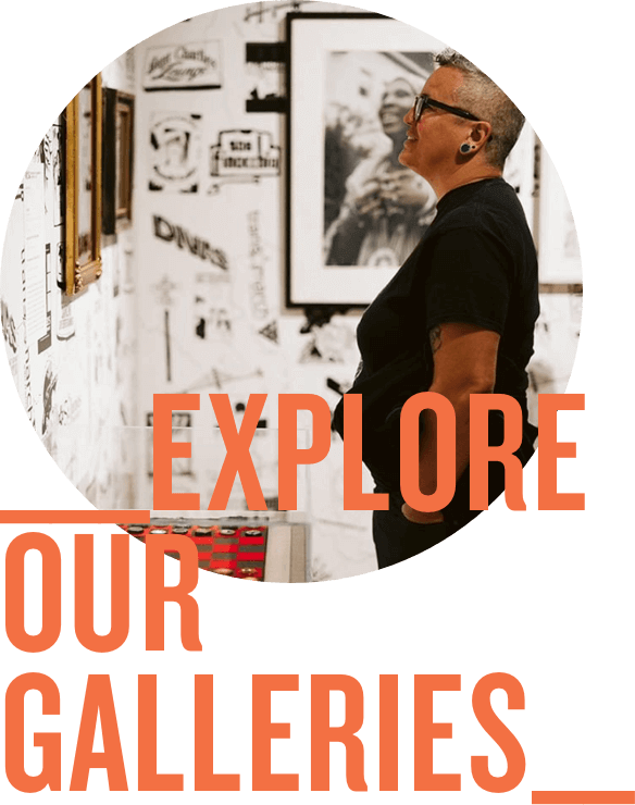 Explore Our Galleries